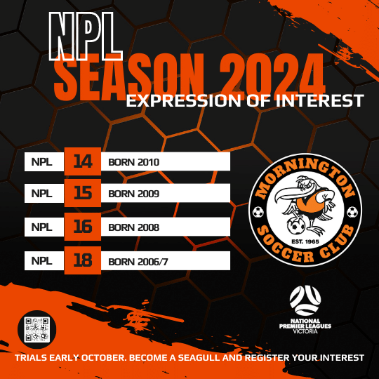 NPL | Season 2024